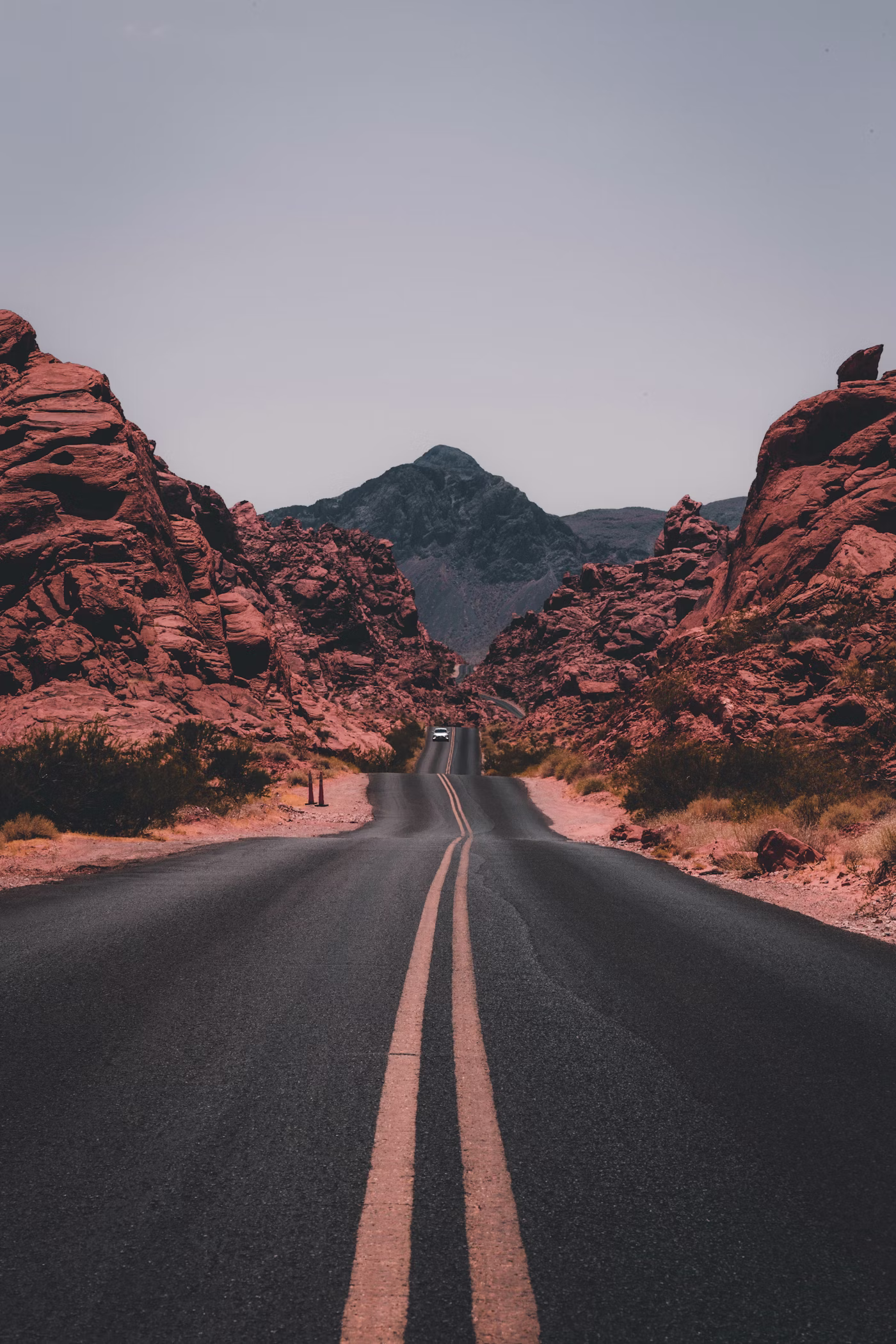 Open desert road representing the therapeutic journey through PTSD recovery