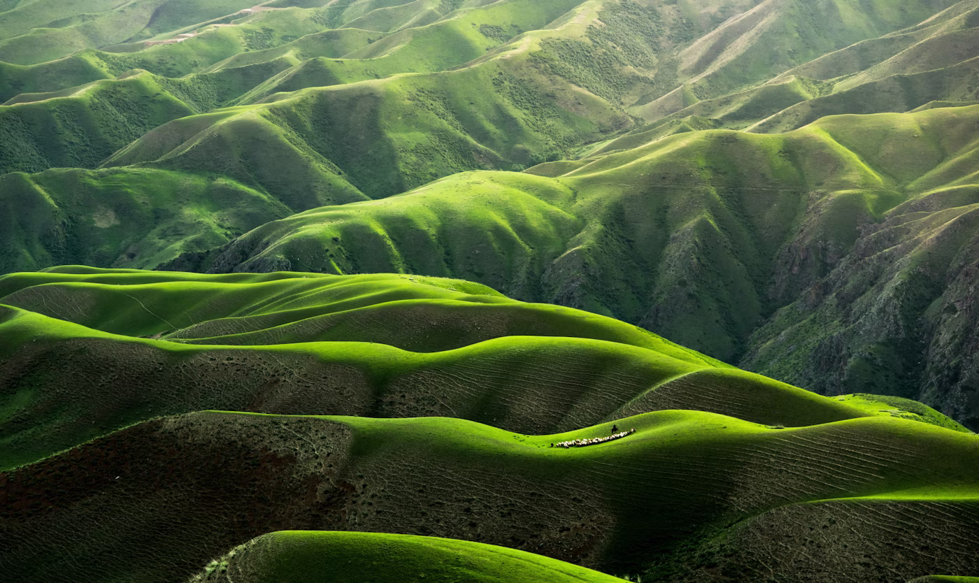 Open landscape representing integrated healing for dual diagnosis and co-occurring disorders